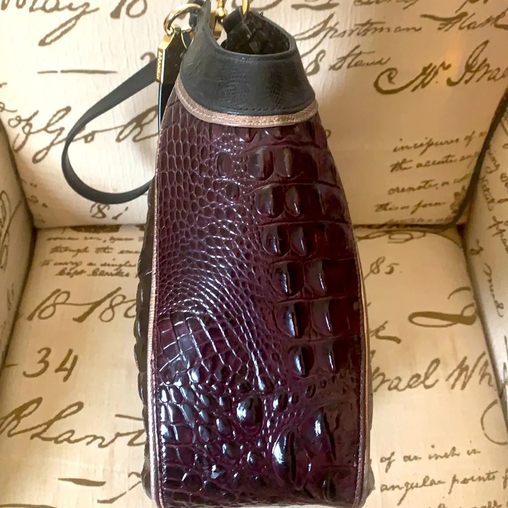 Brahmin - Picture 4 of 12